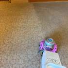 カーペットクリーニングはプロがおすすめ！メリットや業者選びのポイントを専門家が解説